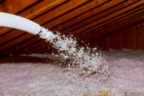 Best Cellulose Insulation in Boyne City, MI